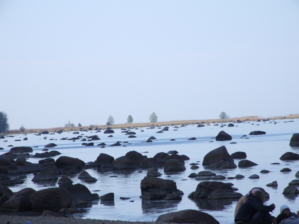 DSCF3917.JPG