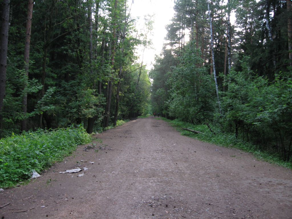 IMG_0645.jpg