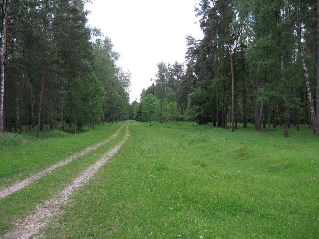 IMG_0653.jpg