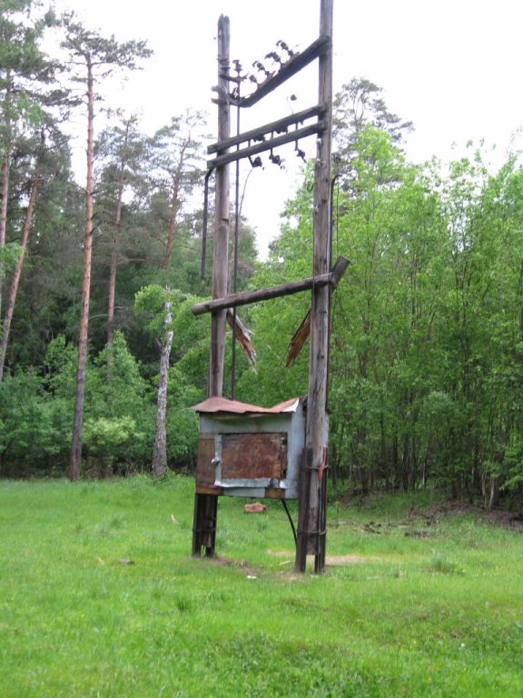 IMG_0650.jpg