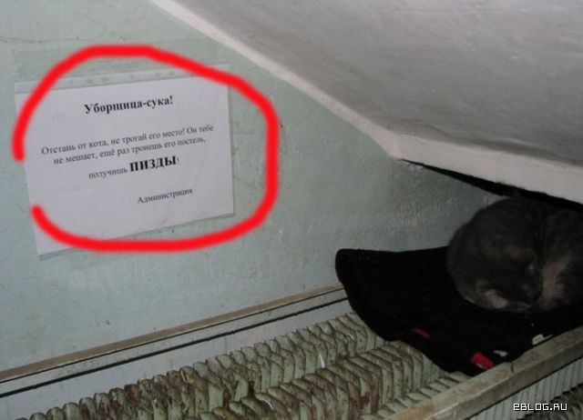 funpics_09.jpg