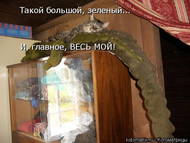 kotomatrix_01.jpg