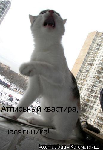 fu.jpg