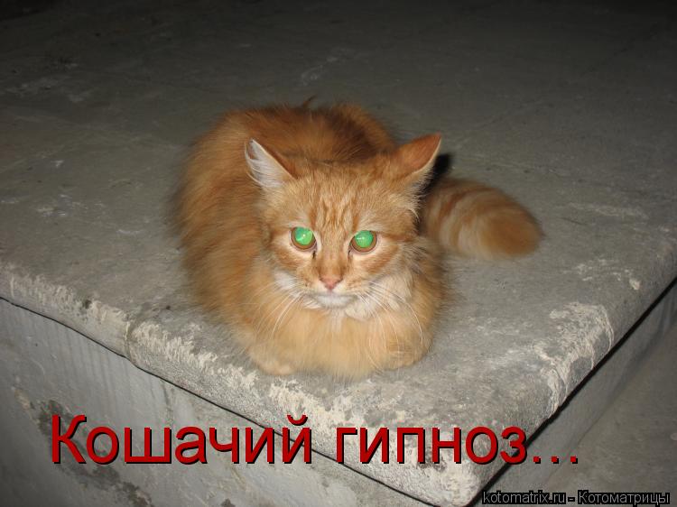 AE.jpg