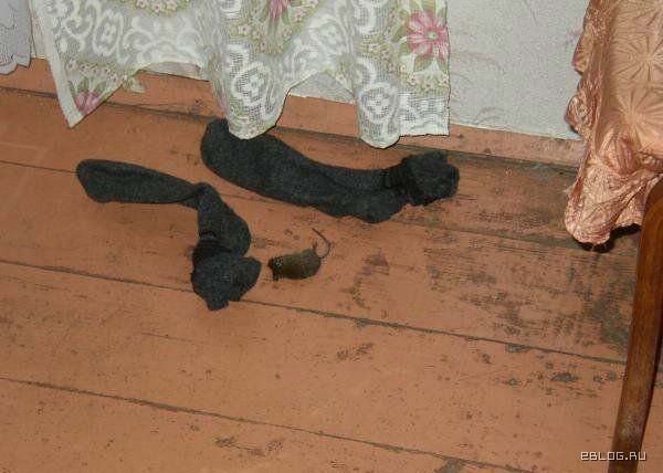 funpics_29.jpg