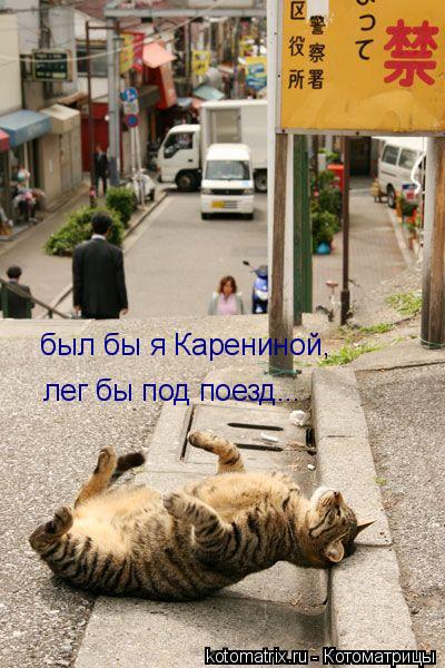 Qe.jpg