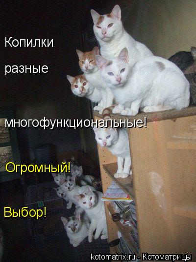x_8a5ccacc.jpg