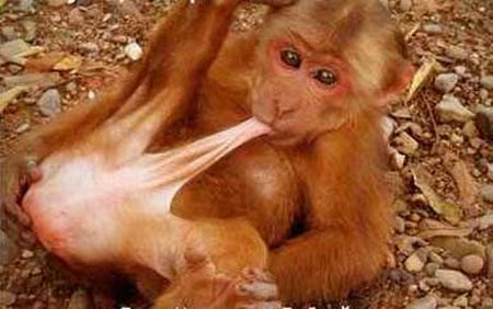 zoo_07.jpg