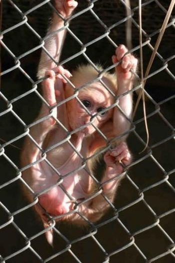 zoo_05.jpg