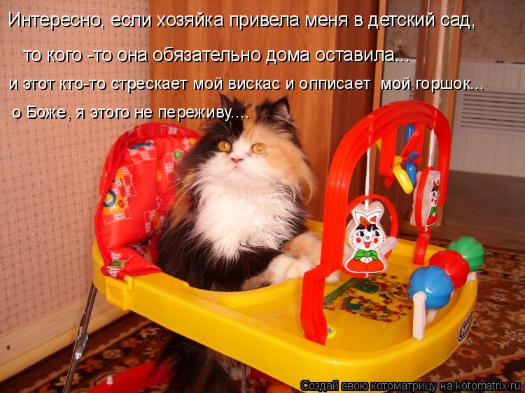 -2.jpg