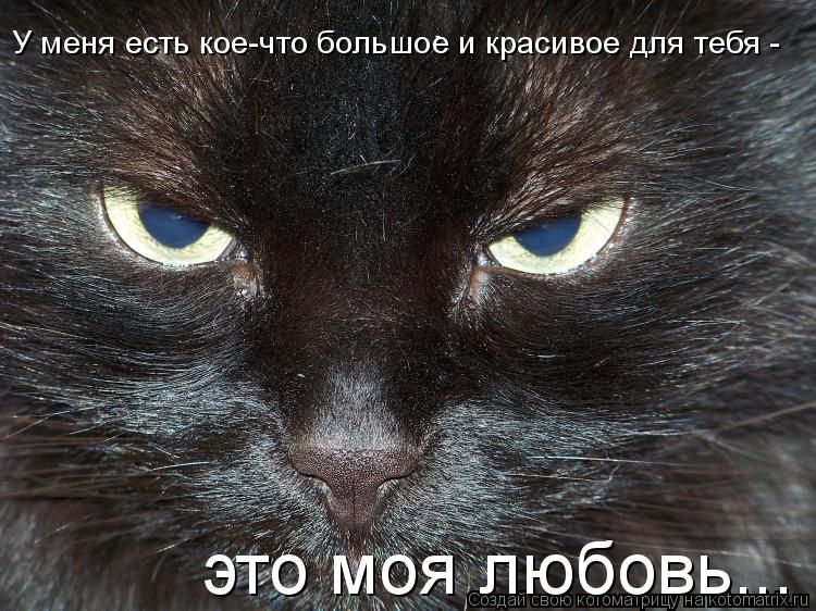 gcfykhjlhjvlnhj.jpg