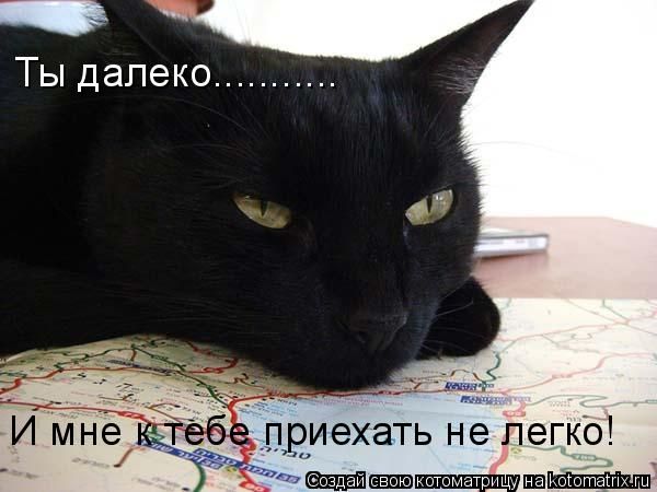 gregrehqe.jpg
