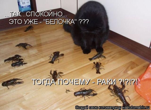 kilkiokiulk.jpg
