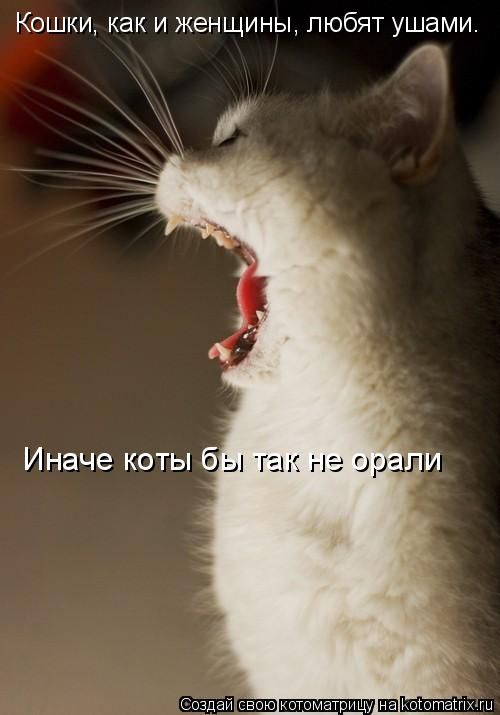 kjtykjtyktygk.jpg