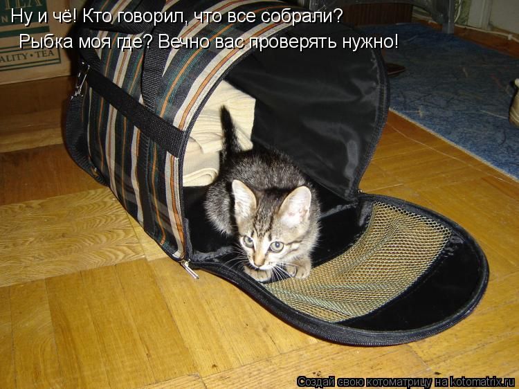 kjetdsth.jpg