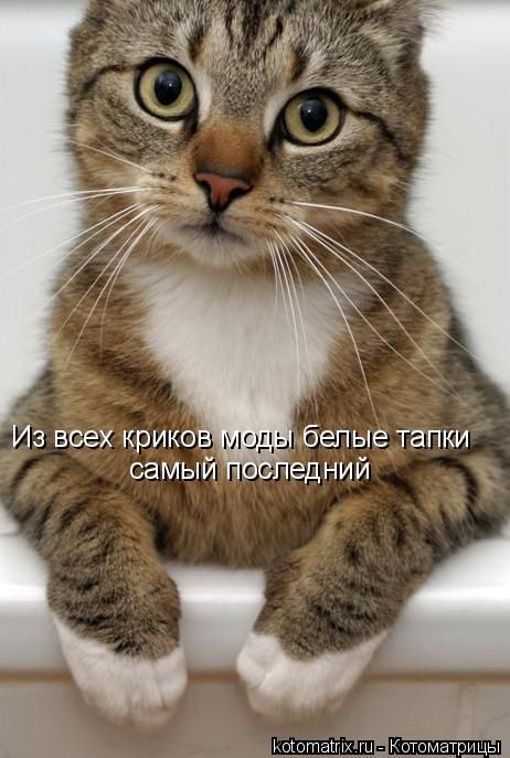 kmhjkhj.jpg