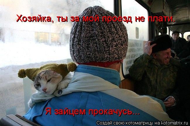 sgfsregsr.jpg