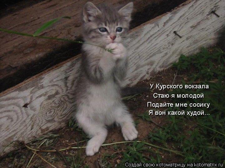 -.jpg