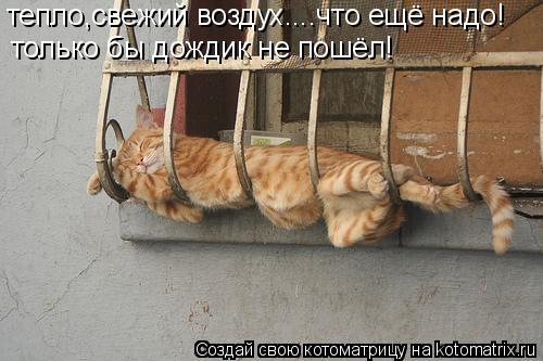 By.jpg