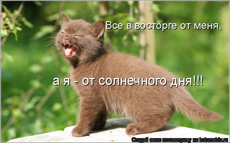 E.jpg