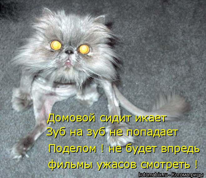 Z.jpg