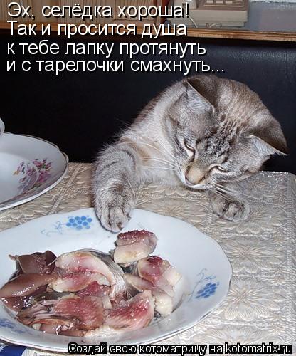 AS.jpg