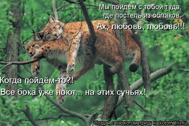 AF.jpg