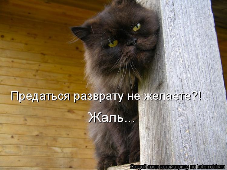 q.jpg