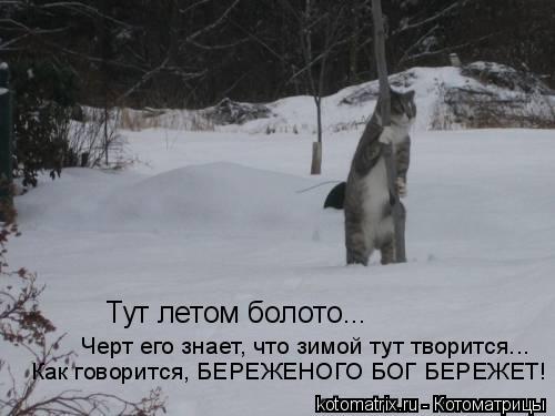 0n.jpg