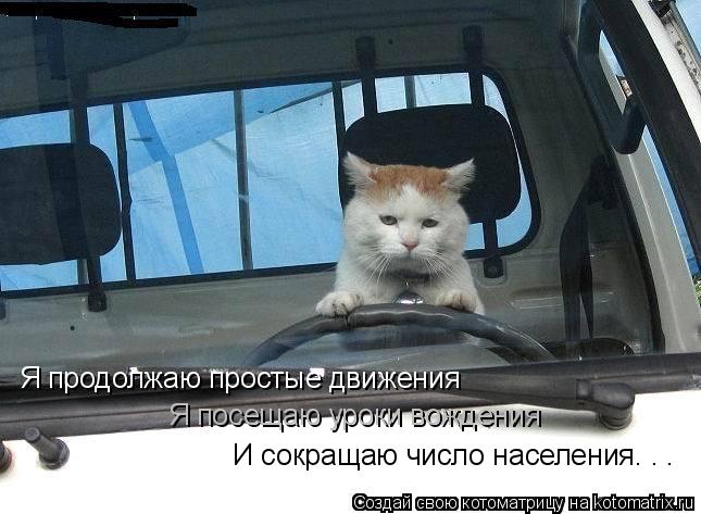 c.jpg