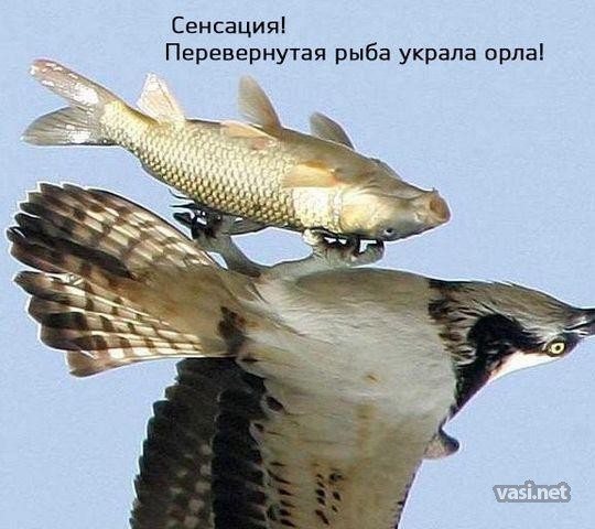 pokoppddd038.jpg