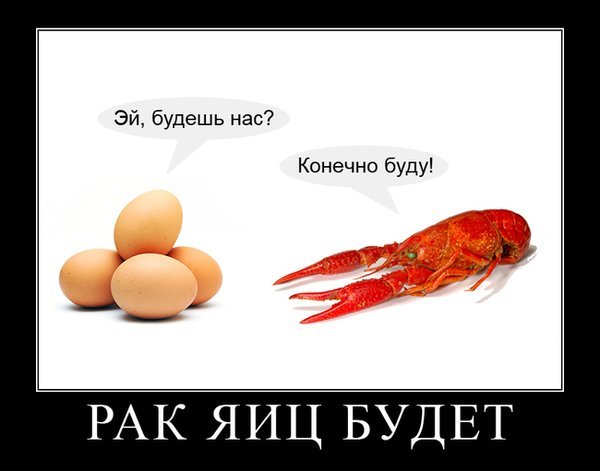 anek_6.jpg
