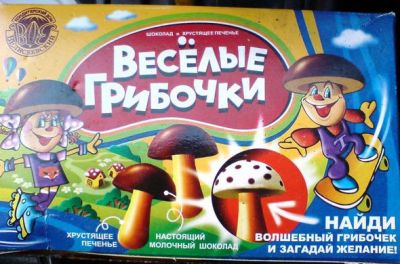 грибЫ.jpg