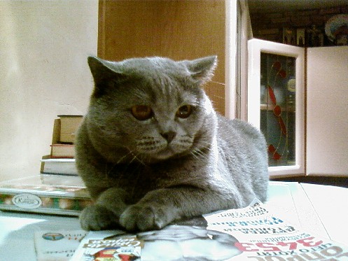 2008.12.07_23.30.58.jpg
