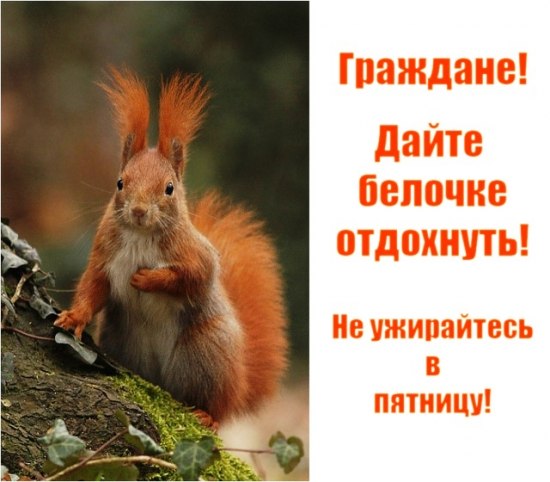 post-3-12284638096417.jpg