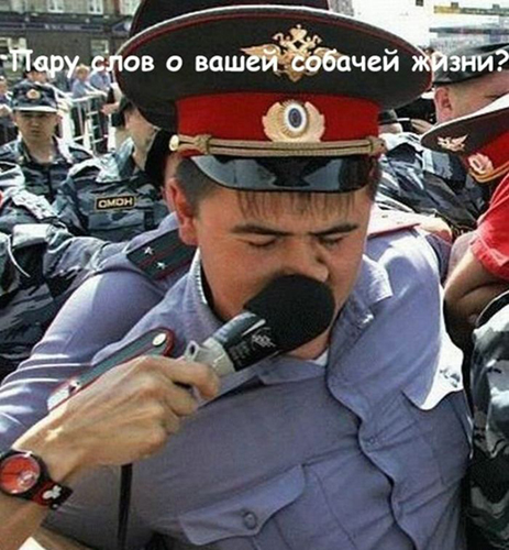 81749036.jpg