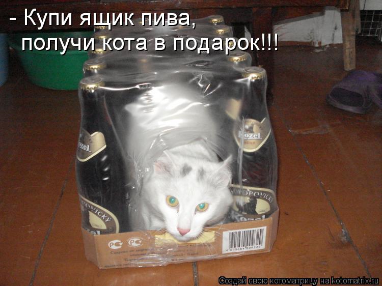 N.jpg
