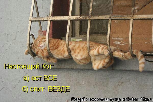 RU.jpg