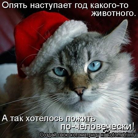 93.jpg
