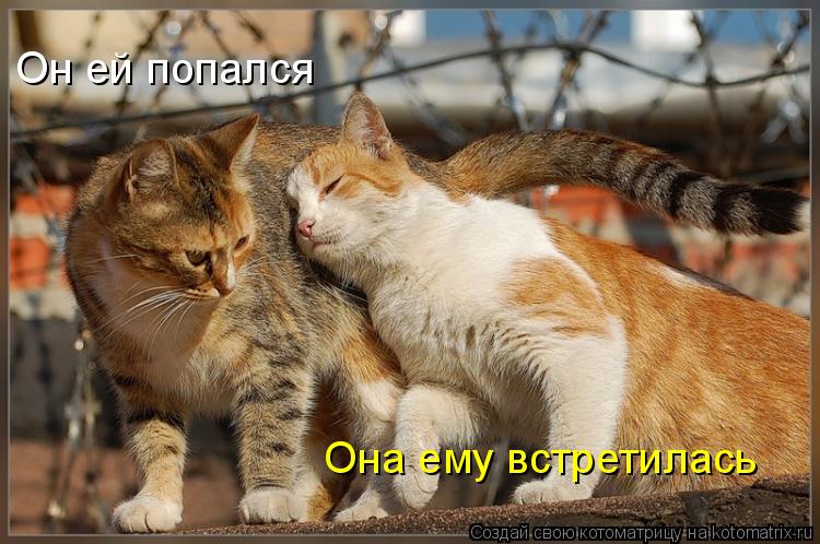 q3.jpg