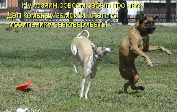ua.jpg