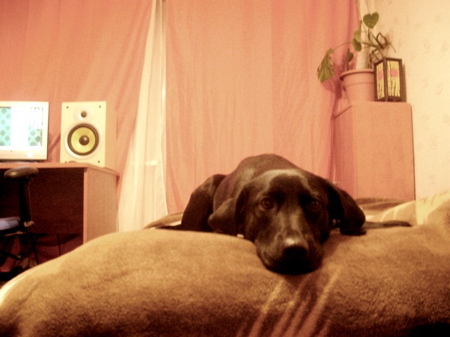 DSCN8866.JPG