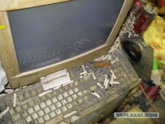 Вид спереди