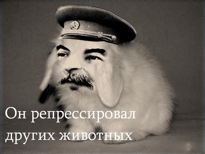 1232568087233.jpg