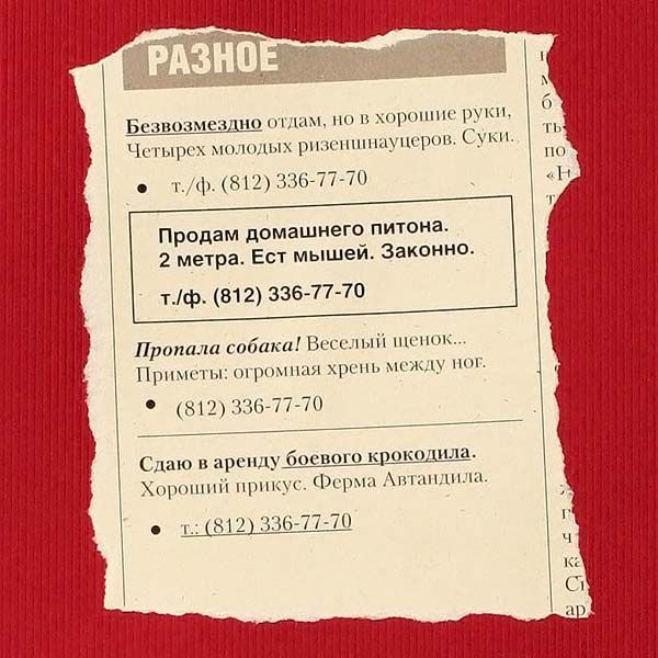 343521_humor_photo_interesting_8.jpg