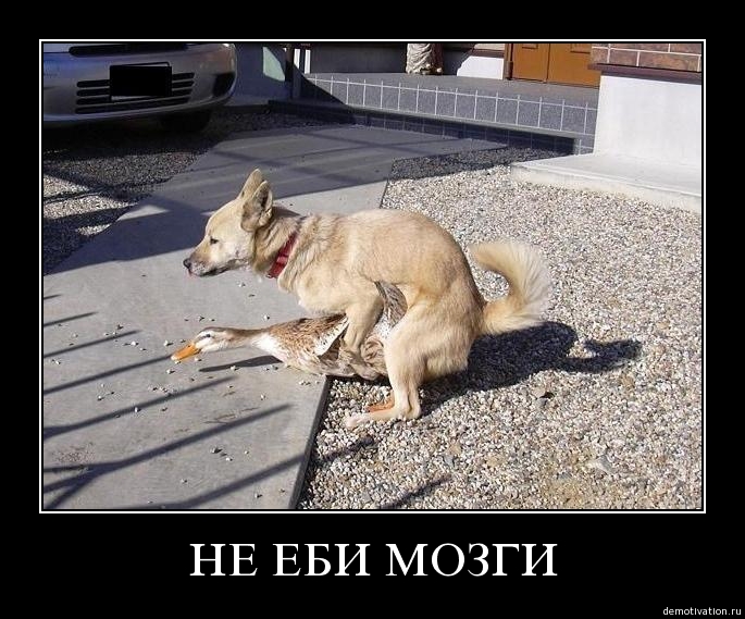 1111.jpg
