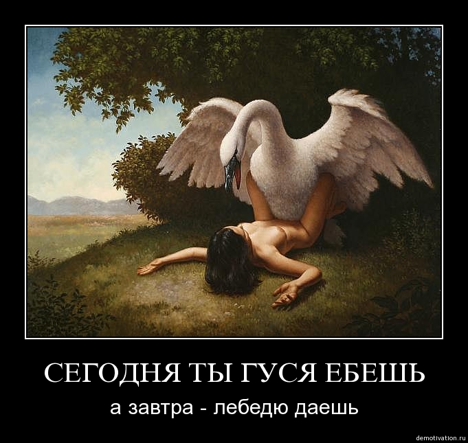 2222.jpg