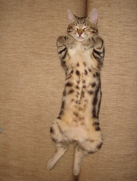 DSC00079.jpg