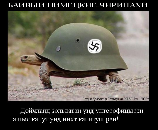 x_82f126cb.jpg