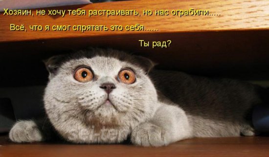 1233545021_6.jpg